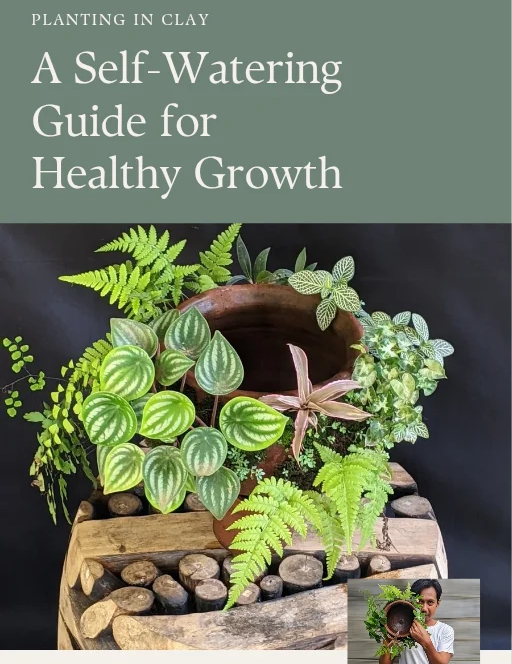 Planting in Clay: A SELF-WATERING Guide for healthy Growth